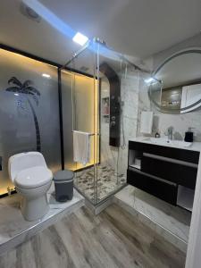 a bathroom with a shower and a toilet and a sink at American House Filandia in Filandia