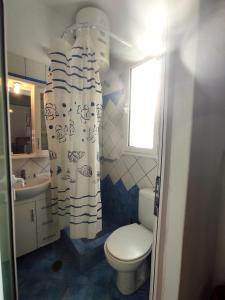 a bathroom with a toilet and a shower curtain at Zorgos Apartments in Zorgos  +53 photos