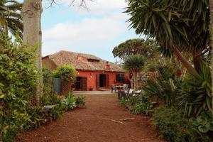 a red brick house with a palm tree at Masoala in Tacoronte