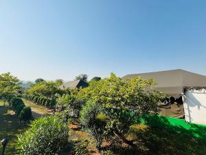 Κήπος έξω από το Jungle Book Ranthambore