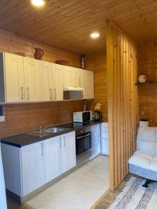 a small kitchen with a sink and a microwave at Quinta Do Fijo in Arcos de Valdevez