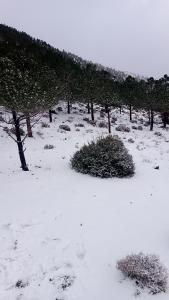 Το Atlas Views τον χειμώνα