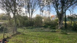 Zahrada ubytování BenB Hoeve Weltevreden