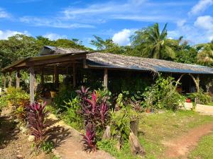 a house with a blue roof and some plants at Carbet Jaguar in Roura