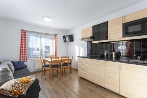 Η κουζίνα ή μικρή κουζίνα στο Apartmán Cubik Boží Dar