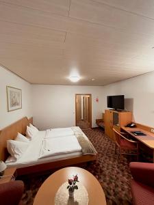 TV a/nebo společenská místnost v ubytování Hotel Hubertus Gernsheim Rhein