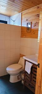 un baño con inodoro y lavabo en Refugio Silvestre Parque Nacional Siete Tazas-Salida a río y pesca, en El Bolsico