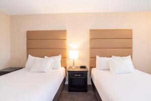 Katil atau katil-katil dalam bilik di Sandman Hotel Cranbrook
