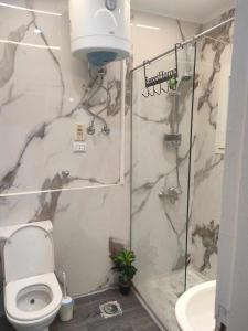 a bathroom with a shower and a toilet and a sink at comfort marine 2 in Hurghada