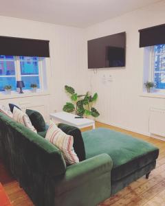 a living room with a green couch and a tv at Bredsands camping och bad Vandrarhem in Enköping