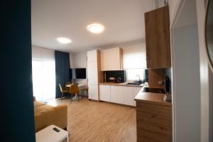 a small kitchen and living room with a couch at Misty Central Residence in Baia Mare