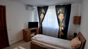 TV a/nebo společenská místnost v ubytování Acasa in Piatra Neamt