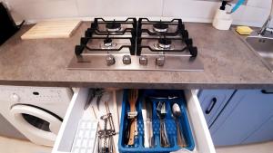 Kuchyň nebo kuchyňský kout v ubytování Acasa in Piatra Neamt