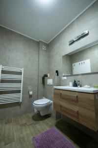 un baño con inodoro y lavabo en Central Residence, en Baia Mare