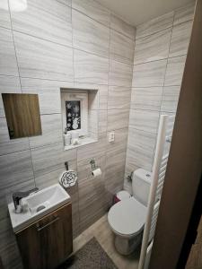 a small bathroom with a toilet and a sink at Apartmány Cipriani in Jáchymov
