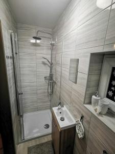 a bathroom with a shower and a sink at Apartmány Cipriani in Jáchymov