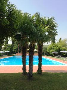 duas palmeiras em frente a uma piscina em La Fattoria Apartments em Lazise