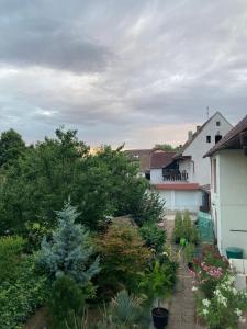 HošťkaUbytování Hoštka的院子里有树木和房屋的景色