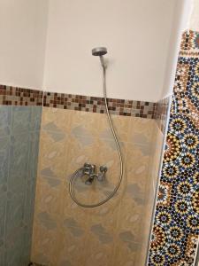 eine Dusche mit einem Schlauch in einem Badezimmer in der Unterkunft Octopus house in Wassane