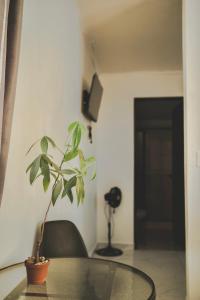 Et tv og/eller underholdning på Global House Apartamento 2