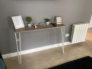 a table with potted plants on it in a room at Altos Patagonia in Río Gallegos