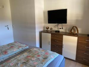 Televízia a/alebo spoločenská miestnosť v ubytovaní Residenz am Erzbach Top 2A