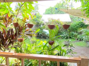 Marta House gili air外面的花园