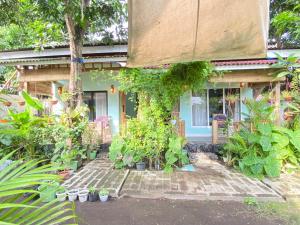Marta House gili air外面的花园