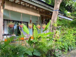 Marta House gili air外面的花园
