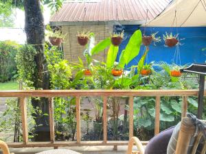 Marta House gili air外面的花园