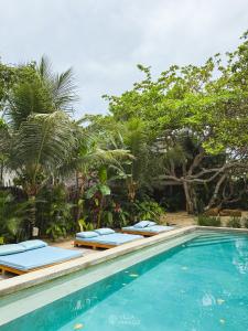 a swimming pool with four lounge chairs and trees at Villa Mango Jeri in Jericoacoara
