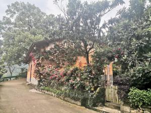 Zahrada ubytování Xin'anjiang Landscape Gallery Ran Yuezhu Bed and Breakfast