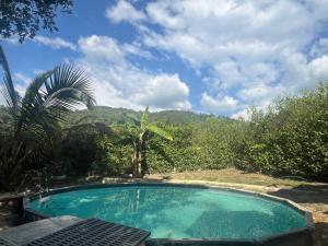 a swimming pool with a palm tree and a mountain at Finca Leito in La Vega