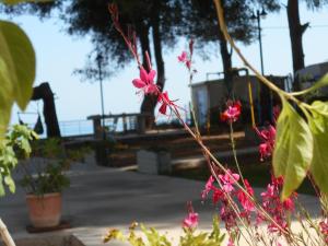 Zahrada ubytování Brunello Seaside Apartments