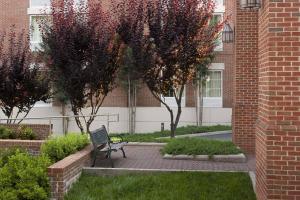 a bench sitting in a garden next to a brick building at Courtyard Charlottesville - University Medical Center in Charlottesville