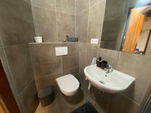 a bathroom with a white toilet and a sink at Vila Lucia - Apartmán 1 in Pilsen +39 photos