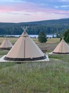 Příroda nedaleko luxury tent