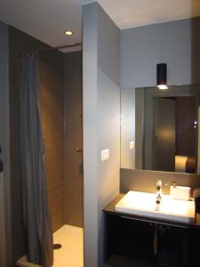 a bathroom with a sink and a shower and a mirror at B&B A Côté du Cinquantenaire in Brussels