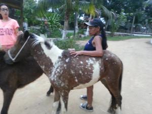 Animales en la casa o chalet o alrededores