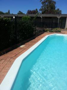 una gran piscina azul en un patio en Hermitage Motel, en Muswellbrook