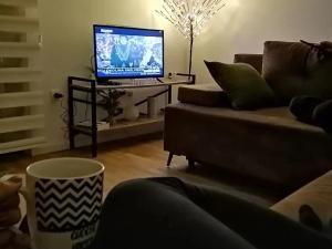 TV a/nebo společenská místnost v ubytování Apartman Pahuljica Tara