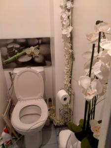 ein Bad mit einem WC und einem Wandgemälde in der Unterkunft Court séjour à Paris 2mn de métro in Villejuif