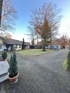 a brick driveway with two potted trees in a yard at Hotel Hubertus Gernsheim Rhein in Gernsheim