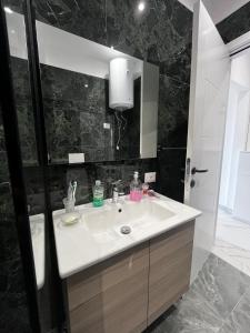 a bathroom with a sink and a mirror and a toilet at Iris Apartment in Golem