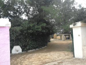 Kép vacanze nella natura con vista mare szállásáról Torre Paliban a galériában