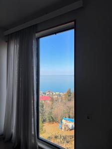 Příroda nedaleko penzionu