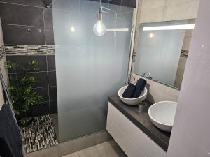a bathroom with a sink and a mirror at Appartement avec Parking Centre Ville Mulhouse in Mulhouse +47 photos