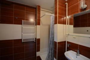 a bathroom with a shower and a toilet and a sink at Domyletnie Sarbinowo Mały Dom 46 m2 z ogrodzoną działką in Sarbinowo
