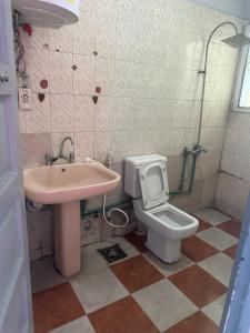 a bathroom with a toilet and a sink at oasis Hotel in Cairo