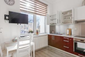 Kuchyň nebo kuchyňský kout v ubytování Apartment on Krymska